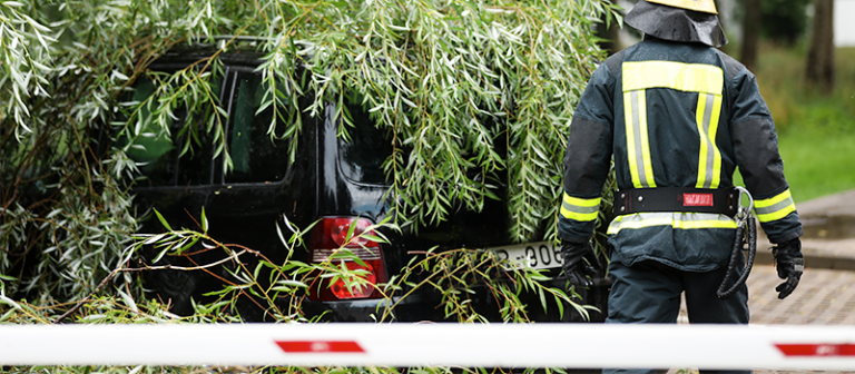 An emergency worker is seen from behind, approaching a vehicle with a tree partially fallen across.