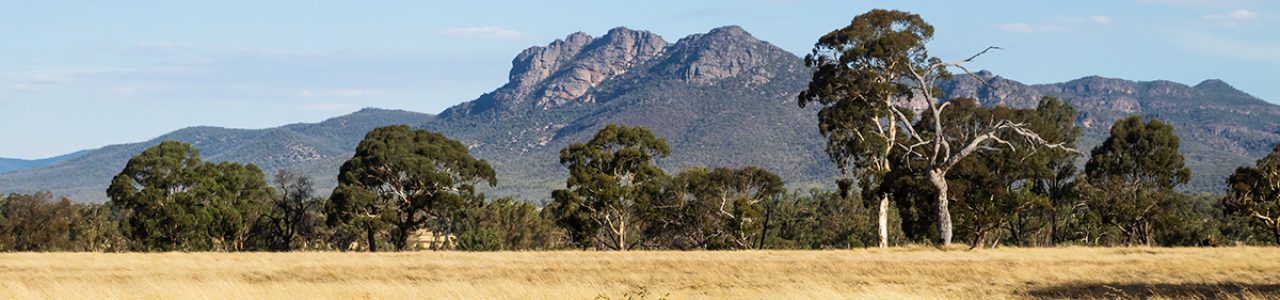 A decorative cover of dry grasslands with mountains at the back in Victoria
