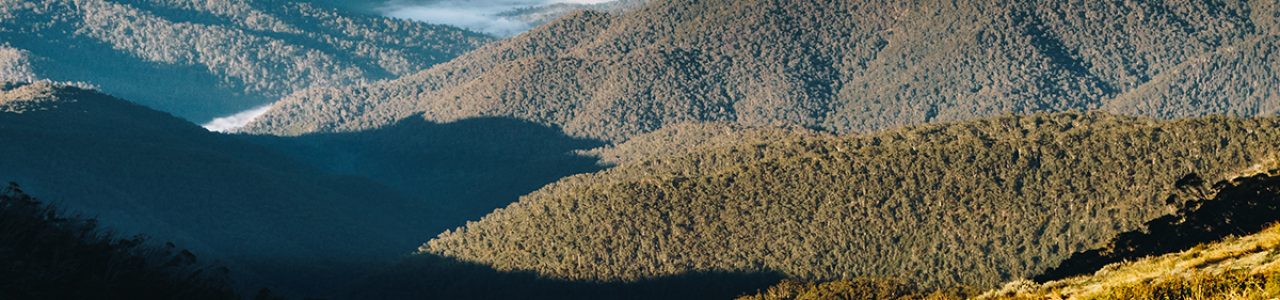 A view over Mount Buller, Victoria